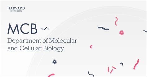 harvard department of molecular and cellular biology